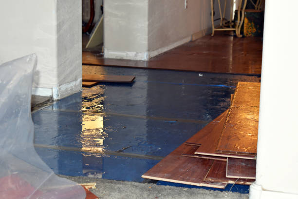 Professional Water Extraction technician working in Burlington, WI